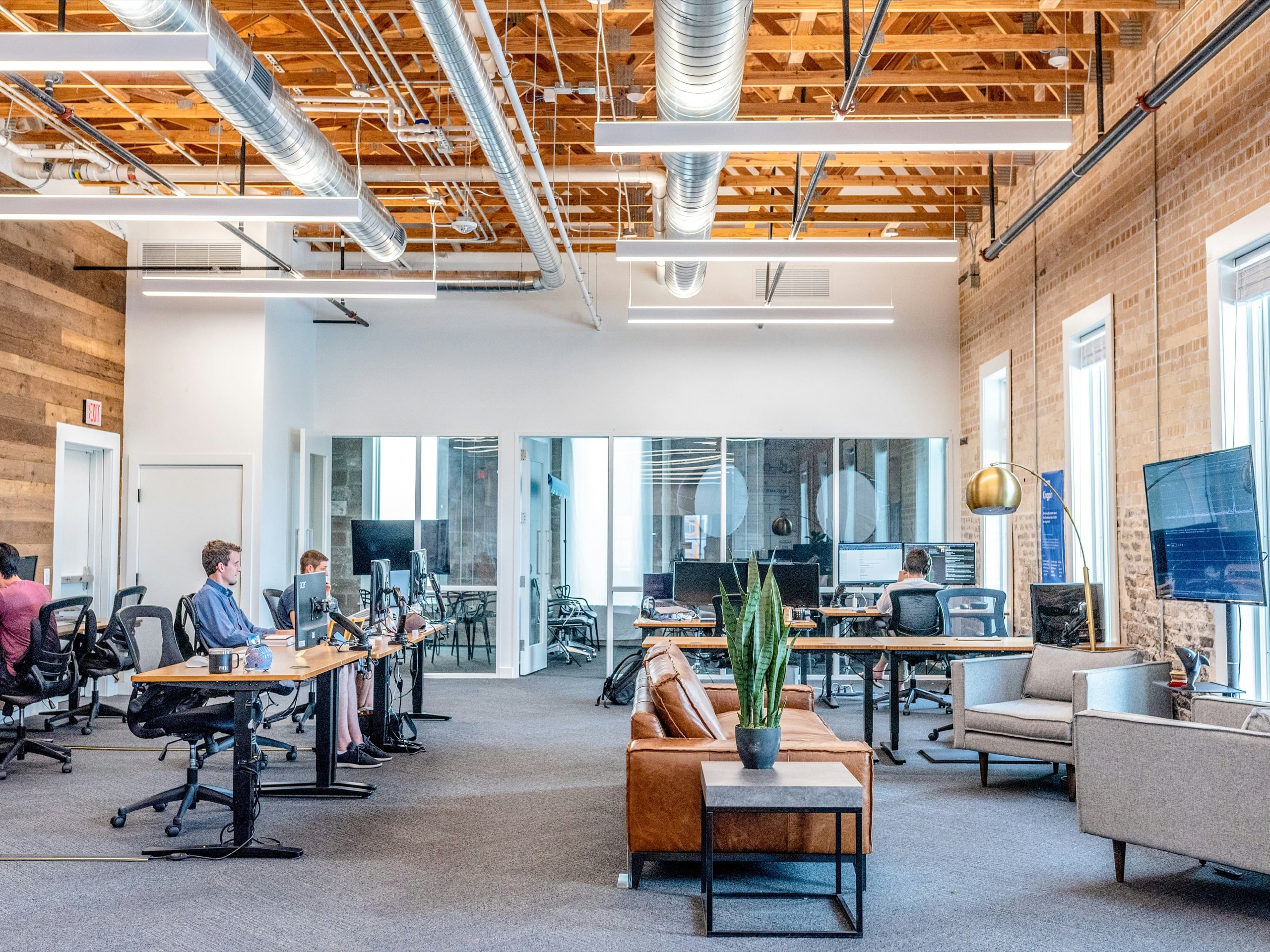 The 23Peaks team at work in our open office